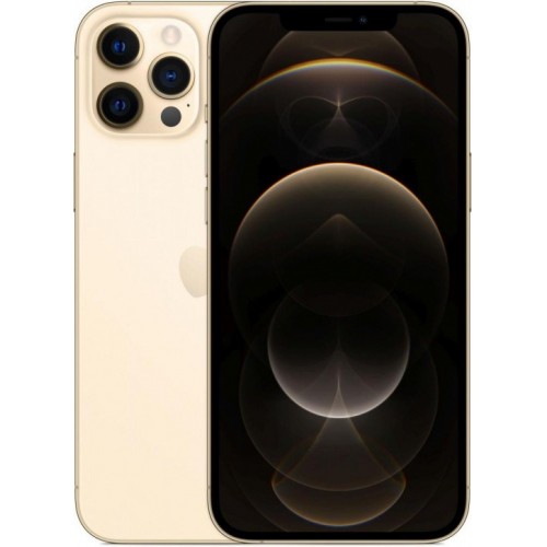 Apple iPhone 12 Pro Max 256GB (золотой) фото 1