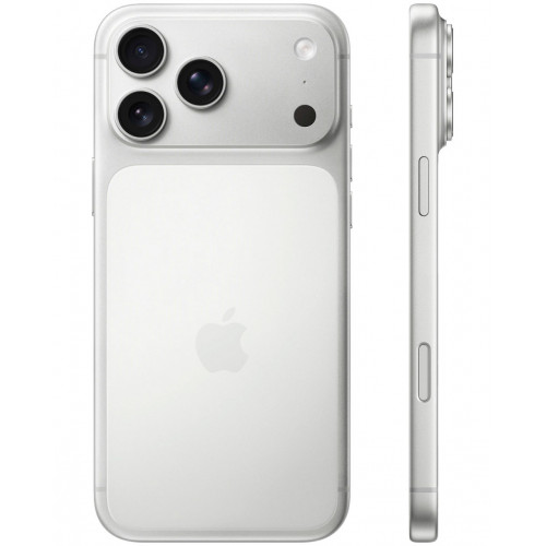 Apple iPhone 17 Pro Max 1TB (серебристый) фото 2