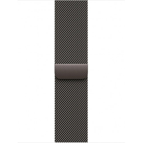 Apple Watch Series 11 LTE 42 мм (титановый корпус, сланец/сланец, миланская петля) фото 3