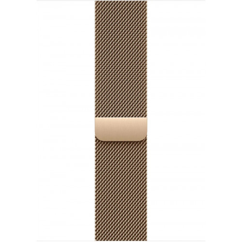 Apple Watch Series 11 LTE 46 мм (титановый корпус, золотистый/золотистый, миланская петля) фото 3