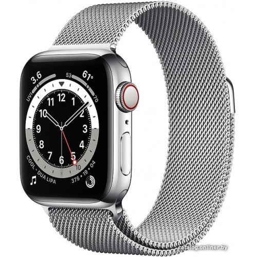 Apple Watch Series 6 LTE 40 мм (сталь серебристый/миланский серебро)