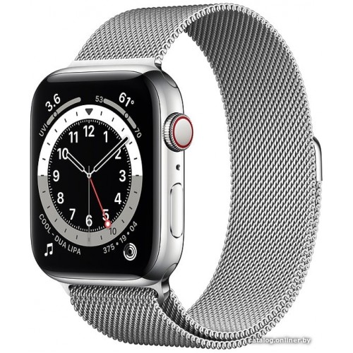 Apple Watch Series 6 LTE 44 мм (сталь серебристый/миланский серебро)