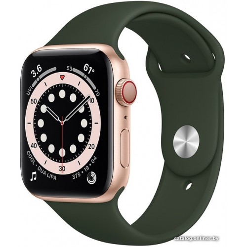 Apple Watch Series 6 LTE 44 мм (сталь золотистый/зеленый спортивный)