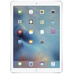 Apple iPad Pro 256GB Silver фото 2